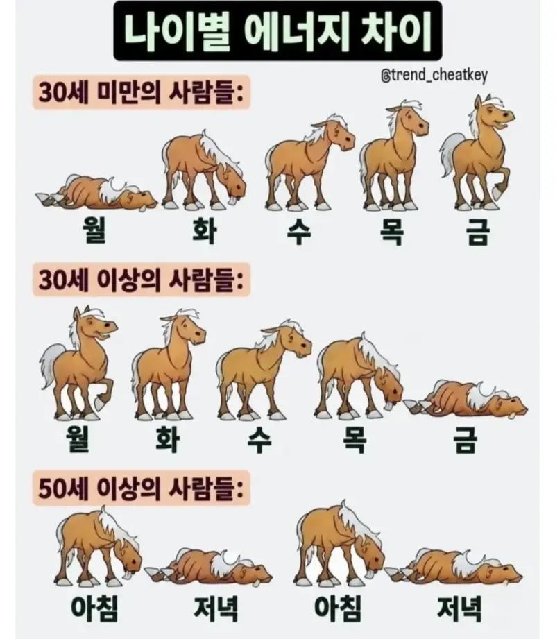 나이별 에너지 차이