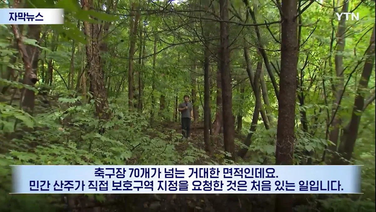 수십억 들여 숲 사놓고 아무것도 안한 이유 (14)
