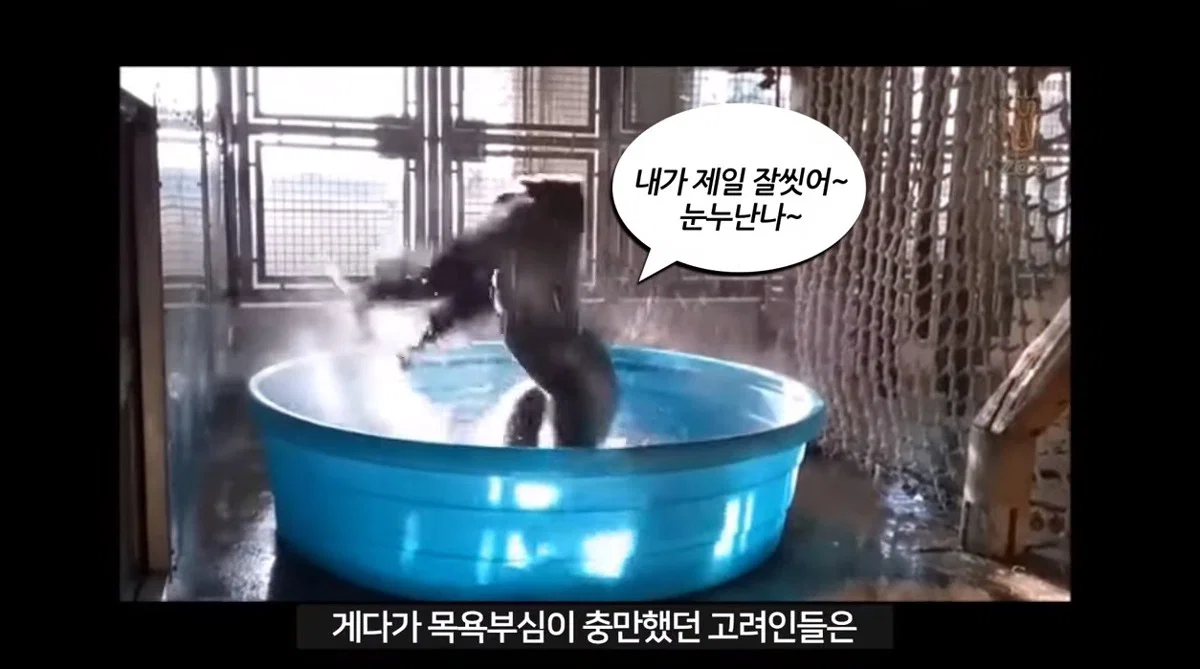 목욕에 진심이었던 고려인들 (5)