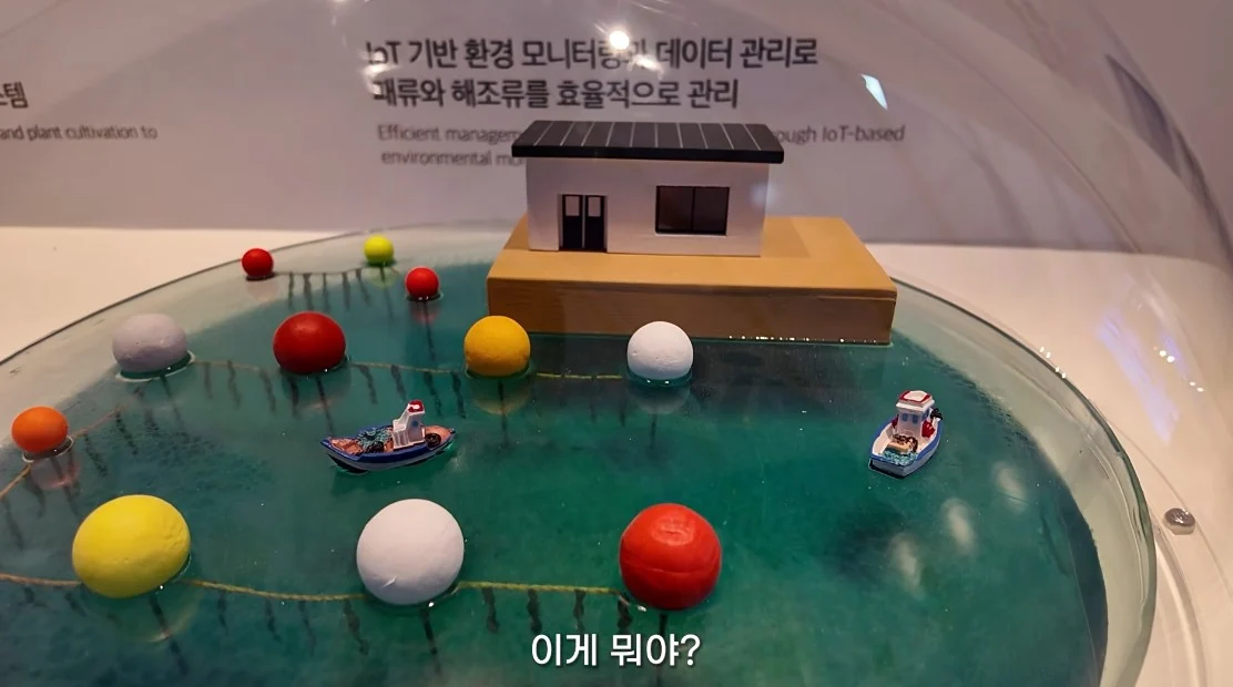 안 싱글벙글 여수국제 섬박람회 후기 (13)