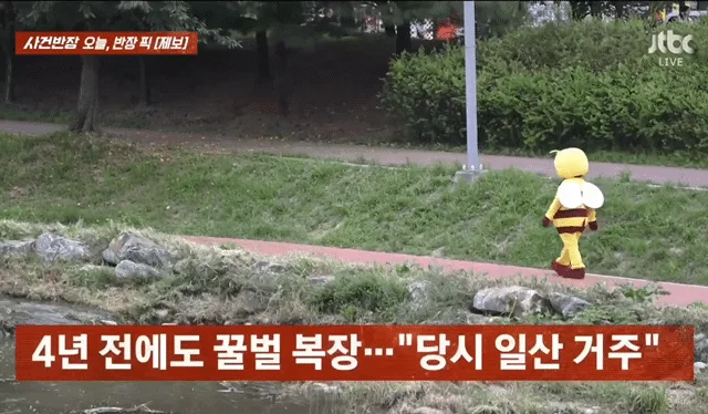 사건반장에 나온 꿀벌 복장 입는 이유 (21)