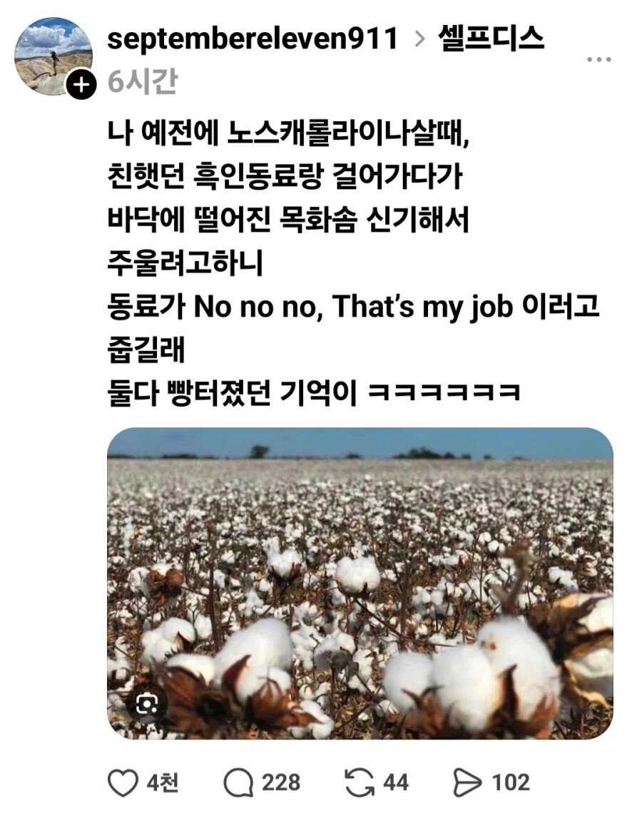 흑인:이민자들이 일자리를 뺏어가려고 한다