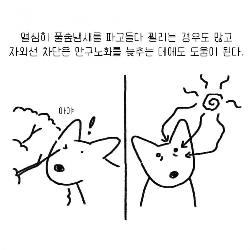 싱글벙글 강아지를 키우기 전 했던 생각.manhwa (8)