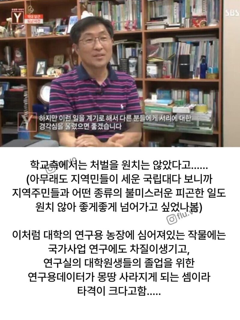 고기구워먹는다고 연구용 당근 몽땅캐간 지역주민들 (13)