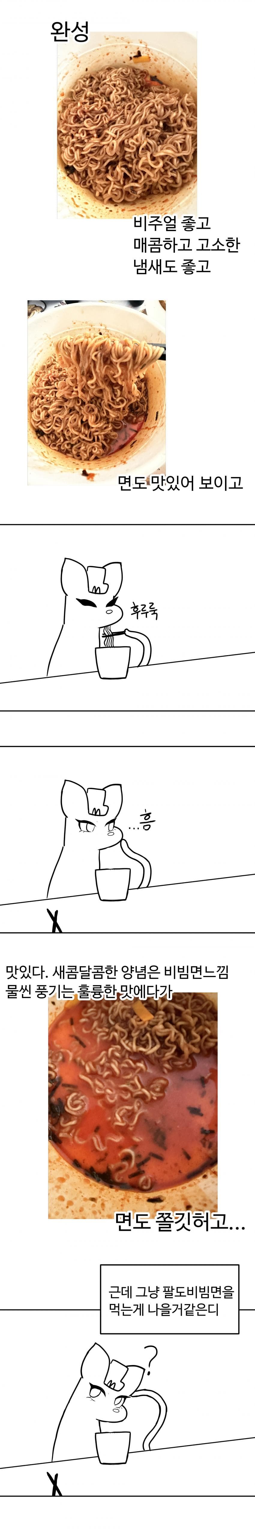 삼계탕 라면국밥 & 비빔막국수 리뷰 (5)