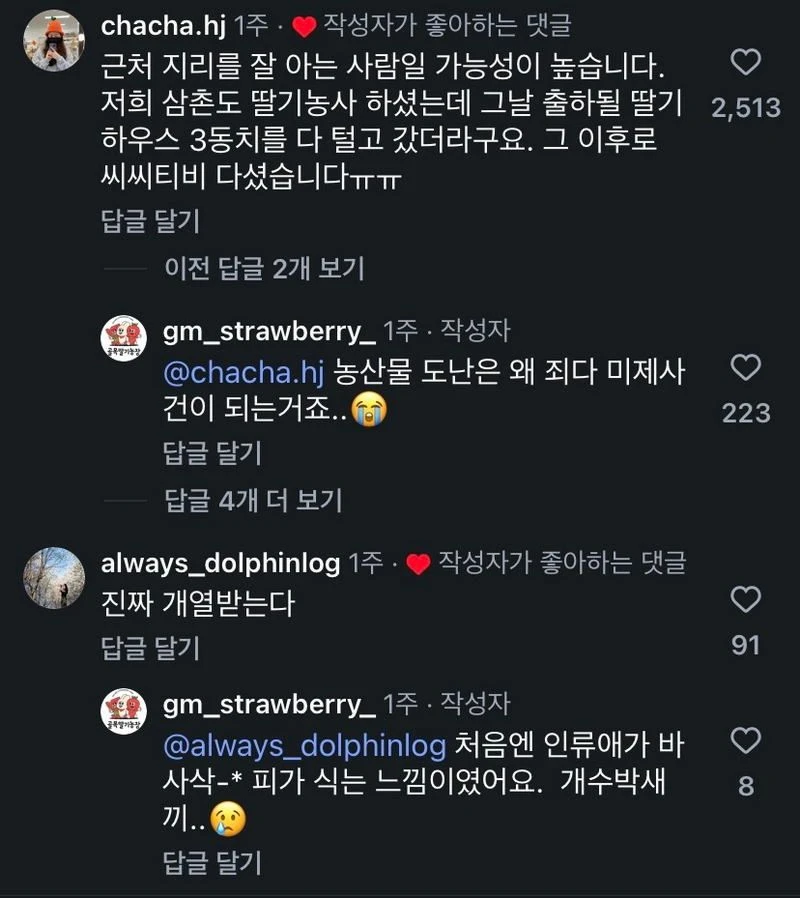 애써 지은 농작물을 짧은 틈에 도난 당했다..jpg