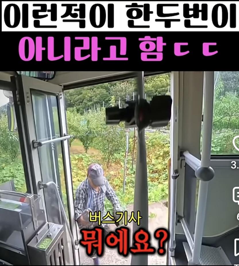 시골 카르텔