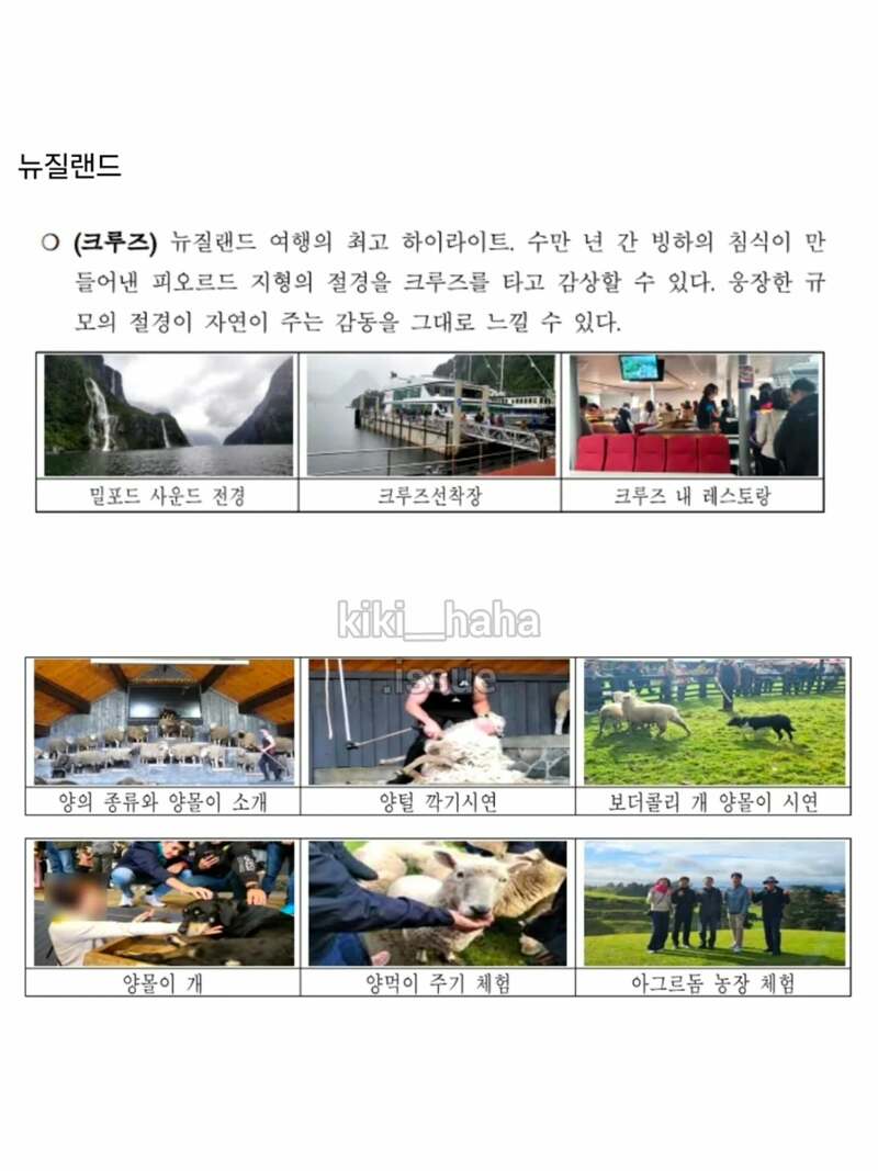 여수 섬박람회 핑계로간 12개국 출장 (2)