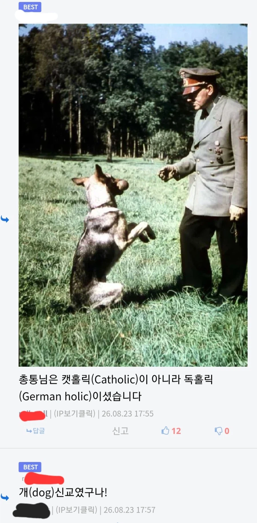 댓글창에서 펼쳐지는 대환장 블랙유머.Nazi_2.webp