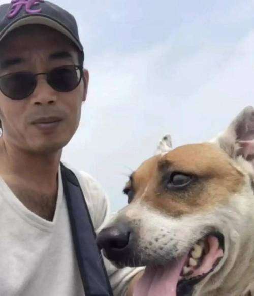 무지개다리 건넌 친구가 매일 주워오던 막대기로 만든 작품