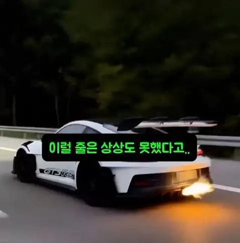 도둑들이 포르셰 눈알만 빼가는 이유