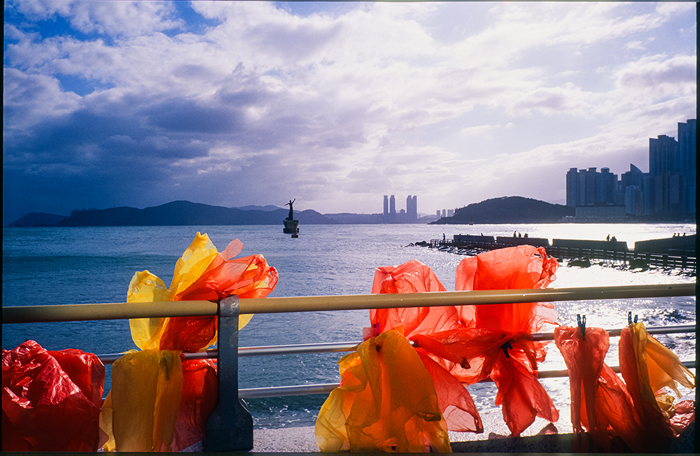 [velvia50]   부산 거리사진 (20)