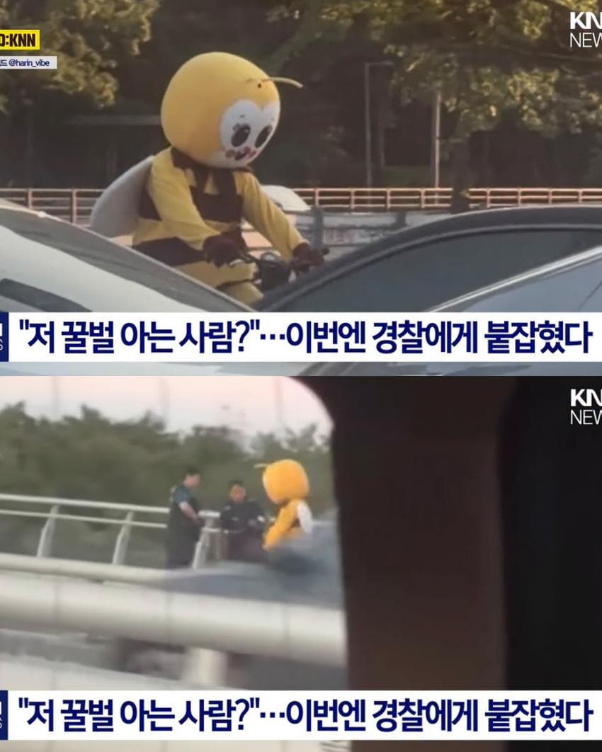 싱글벙글 일산에서 9년째 목격되는 명물