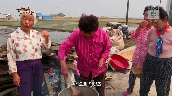 싱글벙글 보릿고개 시절에 먹었다는 잡초풀죽 (17)