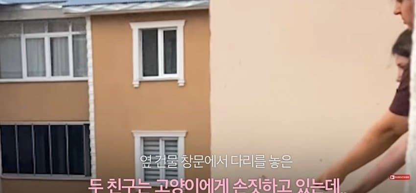 의문의 도구로, 지붕 위 고양이 구한 친구들 (5)