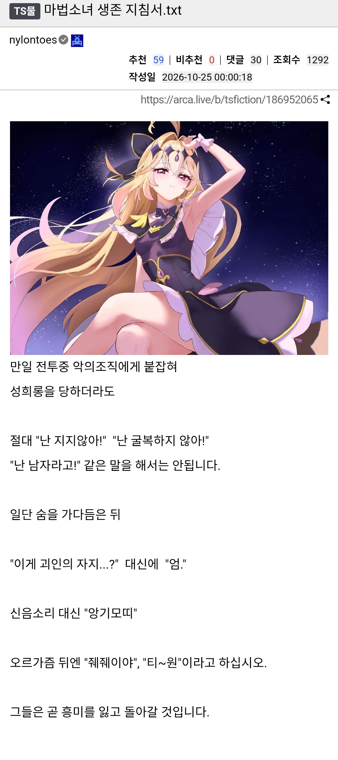 마법소녀 생존 지침서