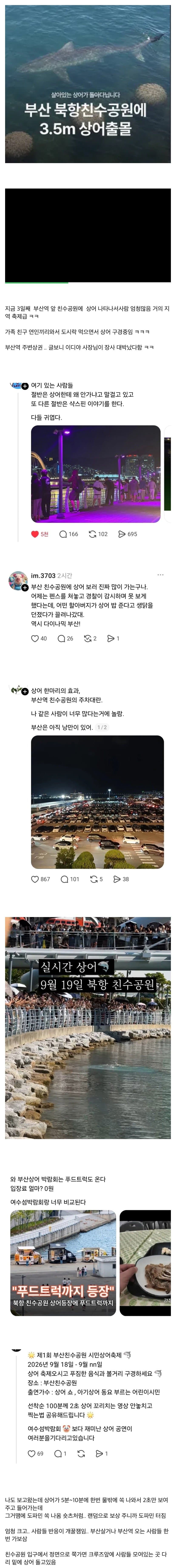 상어 한마리에 3만명 몰려, 부산 명소가 된 북항 (52)