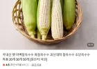 국내산 특품 찰옥수수 미백 흑찰 20개
