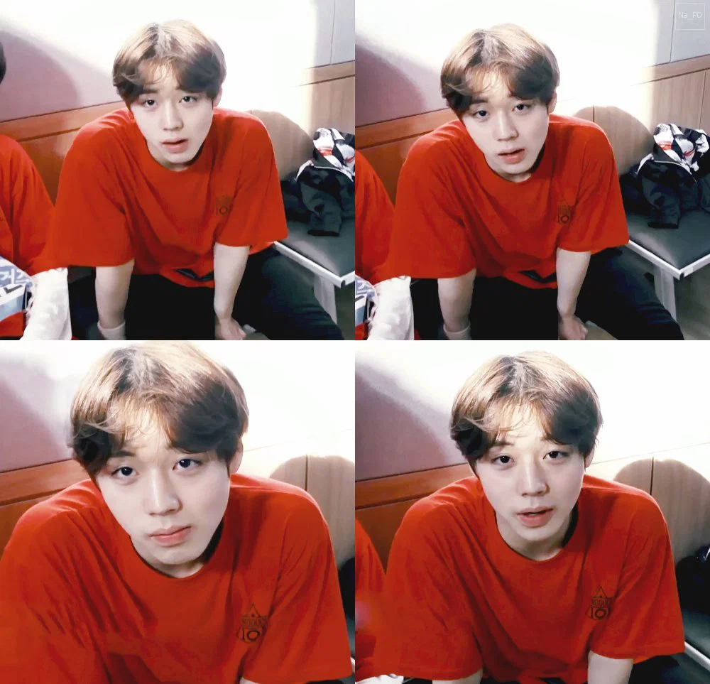 프듀2 당시 박지훈 비주얼 (8)
