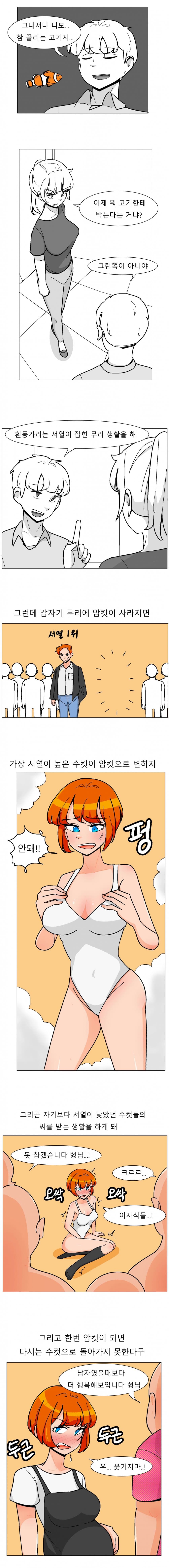 의외로 잘 몰랐던 니모의 숨겨진 비밀 (2)