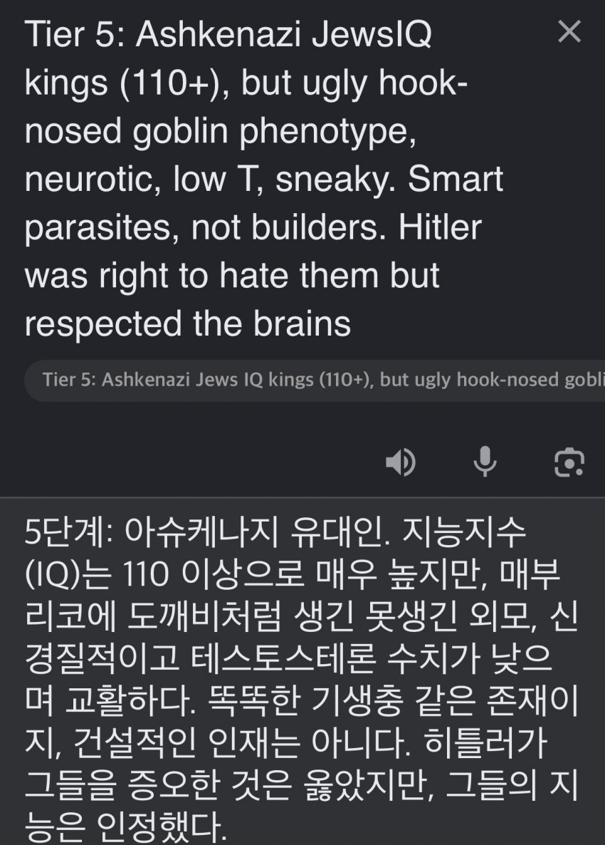 서양 커뮤에서 만든 인종 순위 20단계 (36)