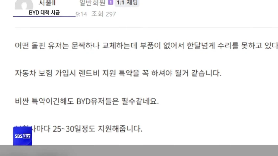 대환장 BYD 근황 (4)