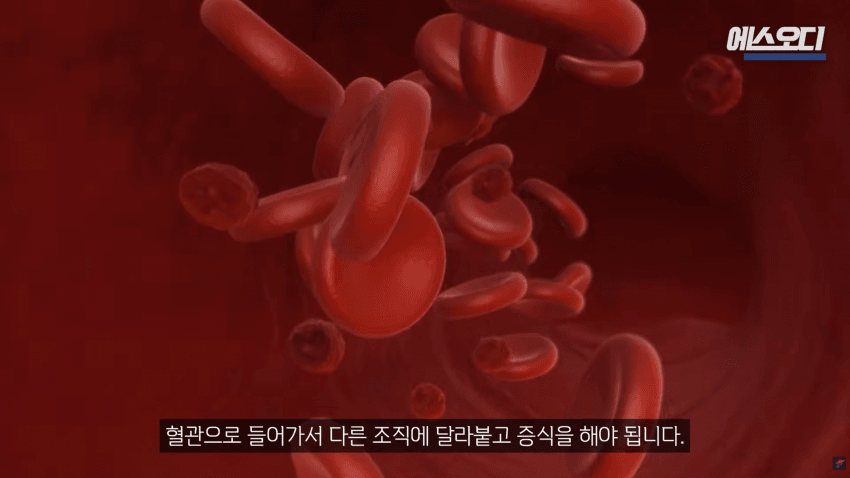 비아그라는 위대했다..역대급 암치료법 등장 (17)