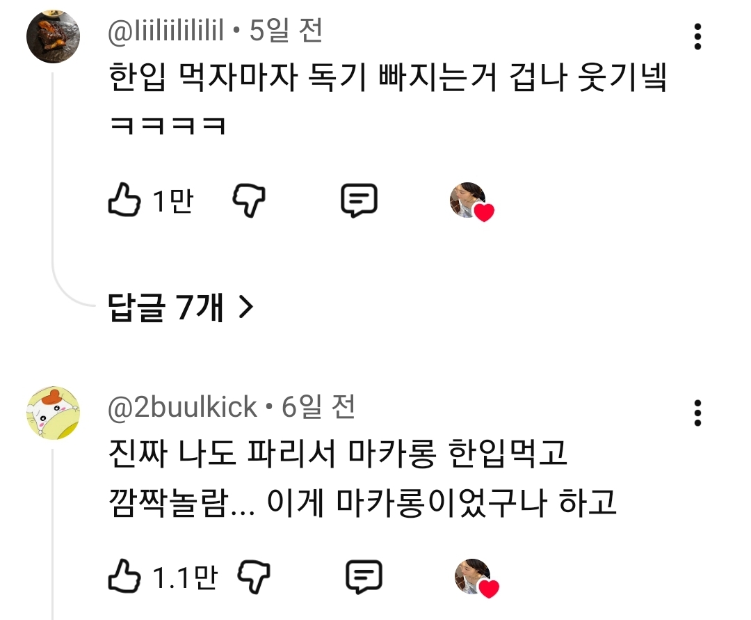 댓글 반응 난리난 파리 여행 디저트..