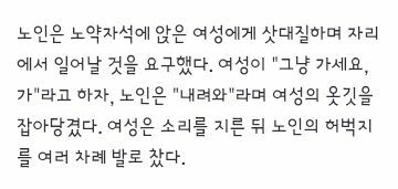2호선 노약자석에서 있었던 노인과 젊은 여성의 난투극 (2)