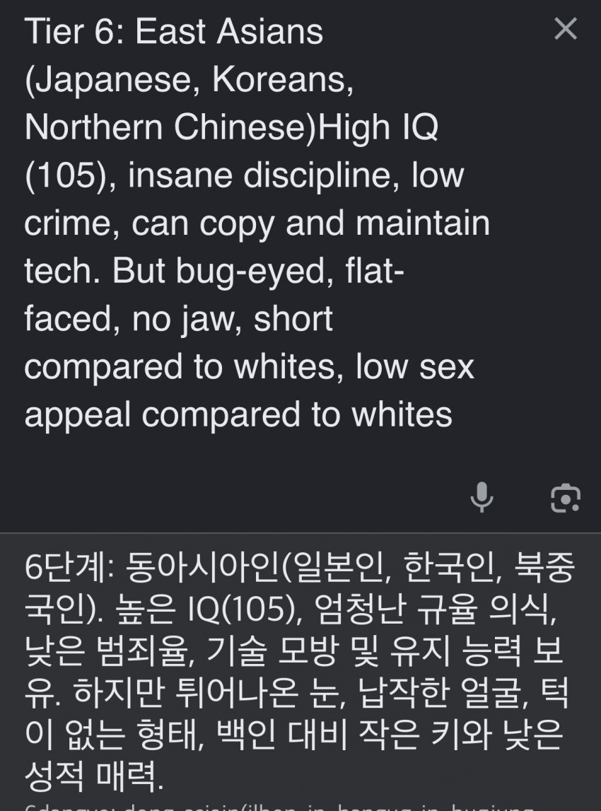 서양 커뮤에서 만든 인종 순위 20단계 (34)