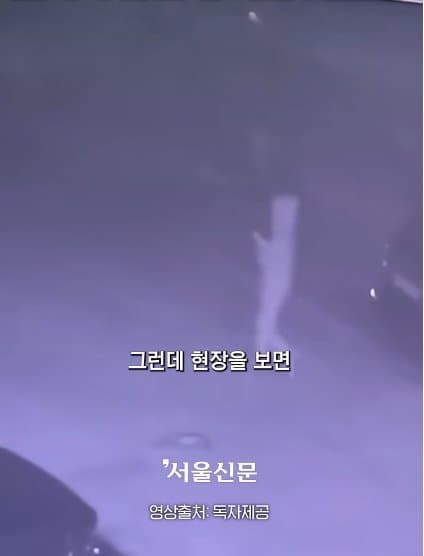 제주실종자가 발견 된 야자수 숲 가는 길을 밤에 직접 가본 기자.. (19)