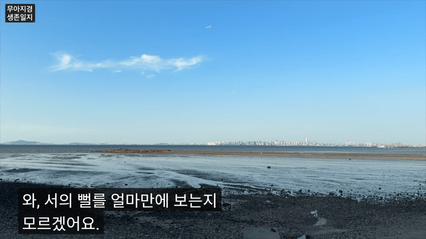 갯벌에서 식자재 해결하는 여자 (8)