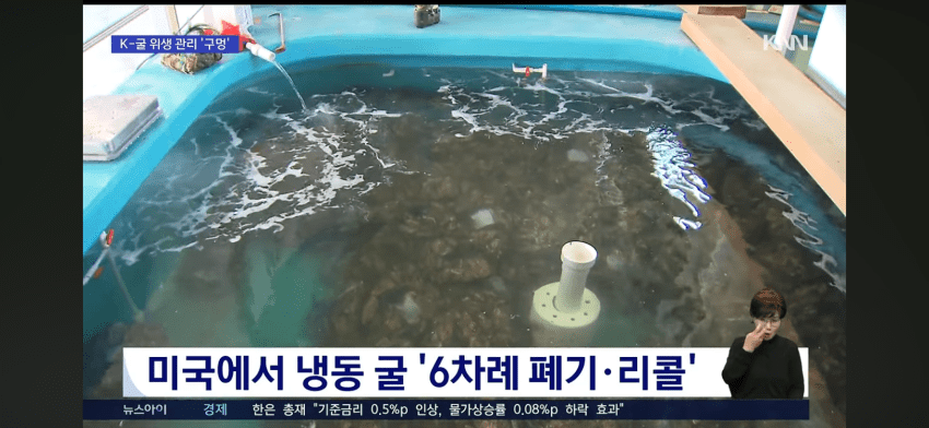 현재 논란이라는 경상남도 굴 상태 (7)