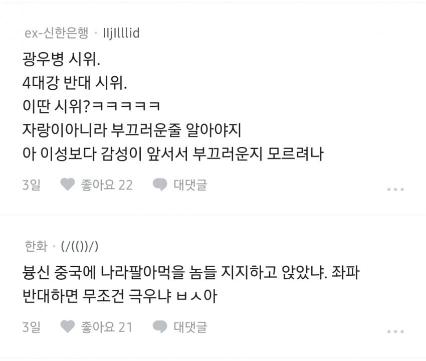 극우 사상에 빠져 뭐만하면 조롱만 하는 2030 (13)