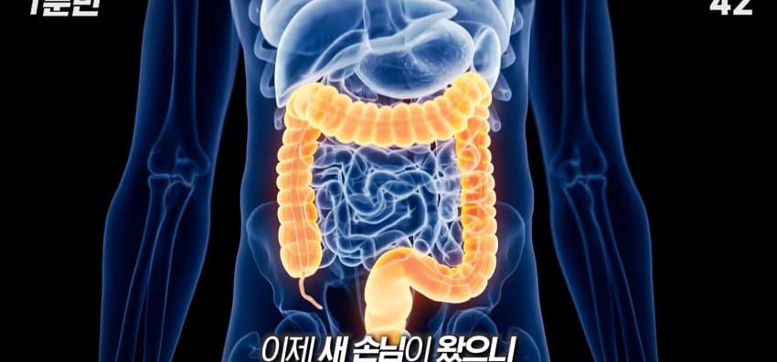 먹자마자 바로 화장실 가는 사람은 뭘까? (11)