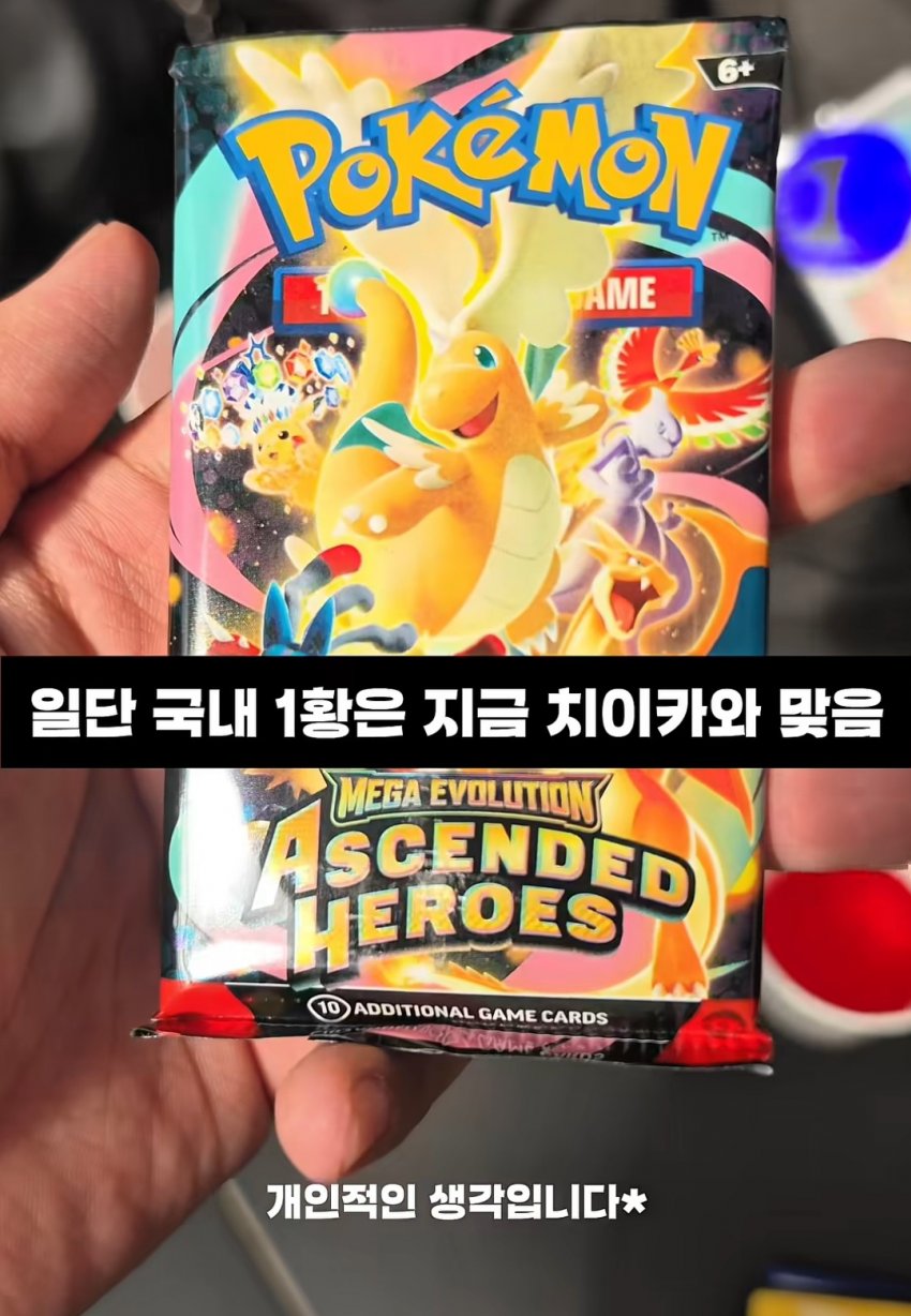 되팔이들 전부 치이카와로 갔다는거 구란줄알았는데 (6)