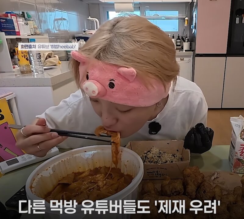 먹방 유튜버 사라지나...수익 중단 위기 (9)