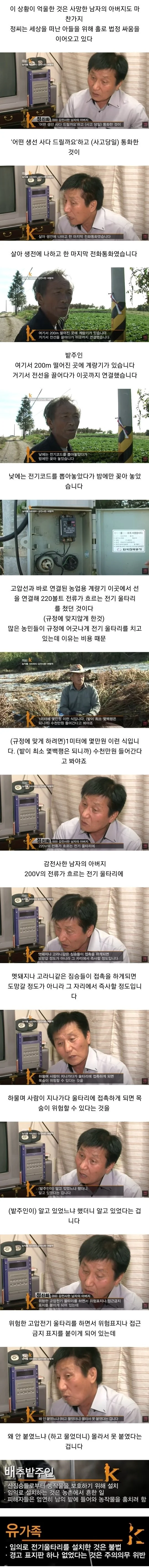 배추 서리로 인해 인생이 망가진 사람들 (2)
