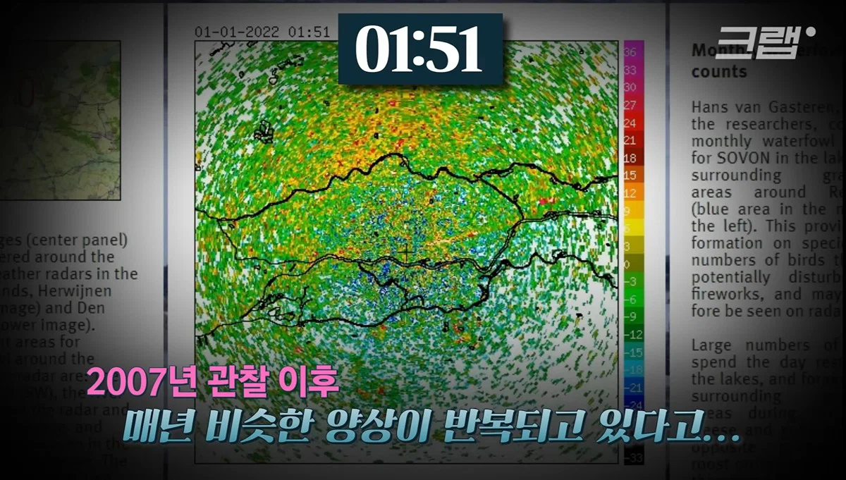 새들에겐 거의 전쟁난 수준이라는 불꽃축제 (29)