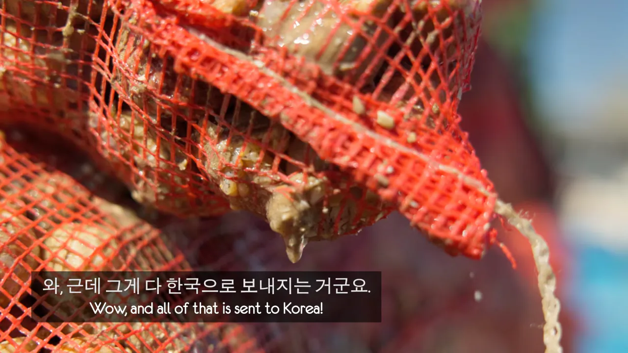 영국 골뱅이 어부들 입맛까지 낚아버린 생애 첫 골뱅이 무침! 5-38 screenshot.png 골뱅이 잡는 영국 어부들에게 한국 골뱅이무침을 먹여봤다 ㅋㅋㅋㅋㅋ