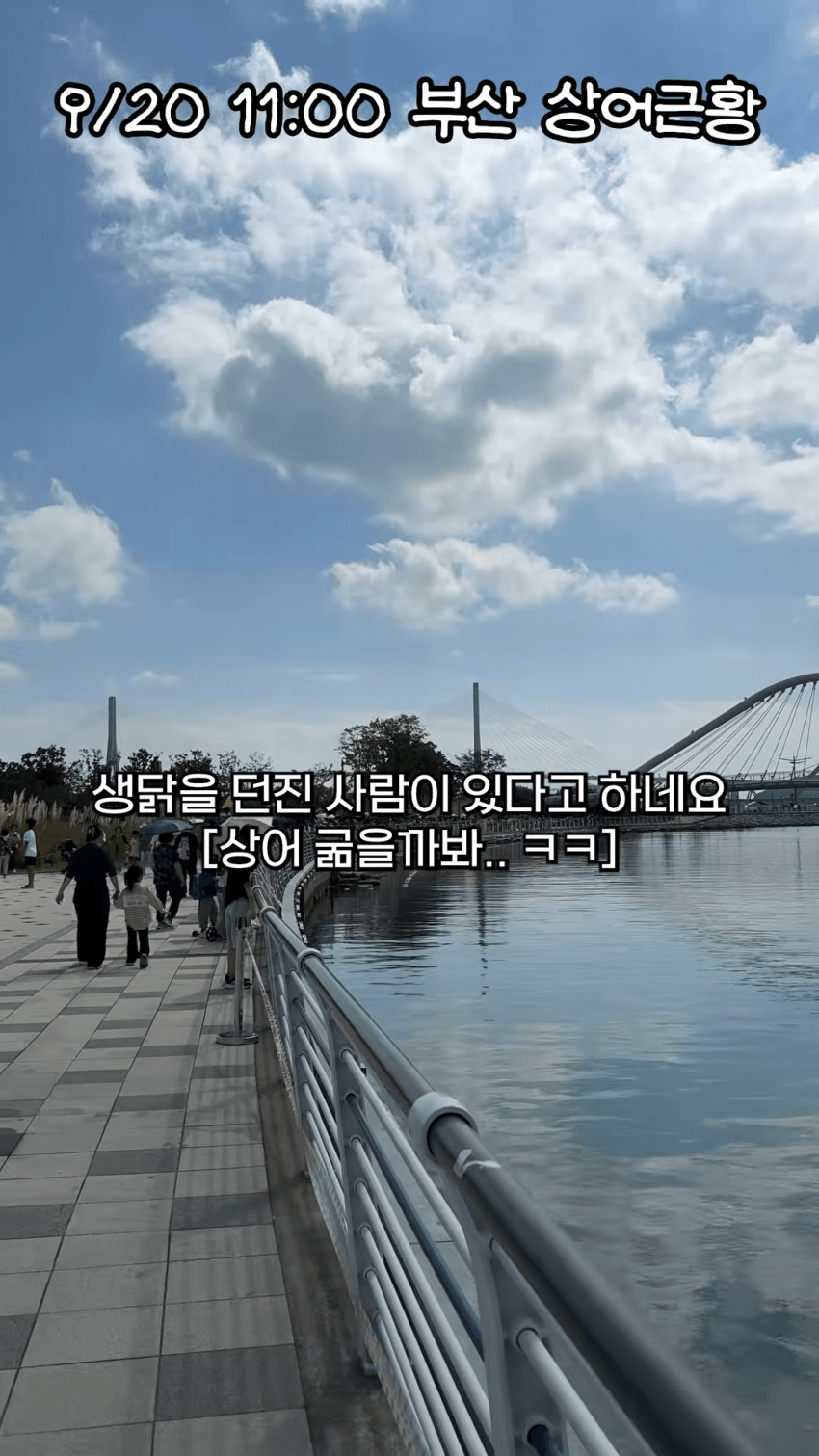 아재신 상어한테 생닭 던졌다 해경한테 잡혀갔다네요 (5)
