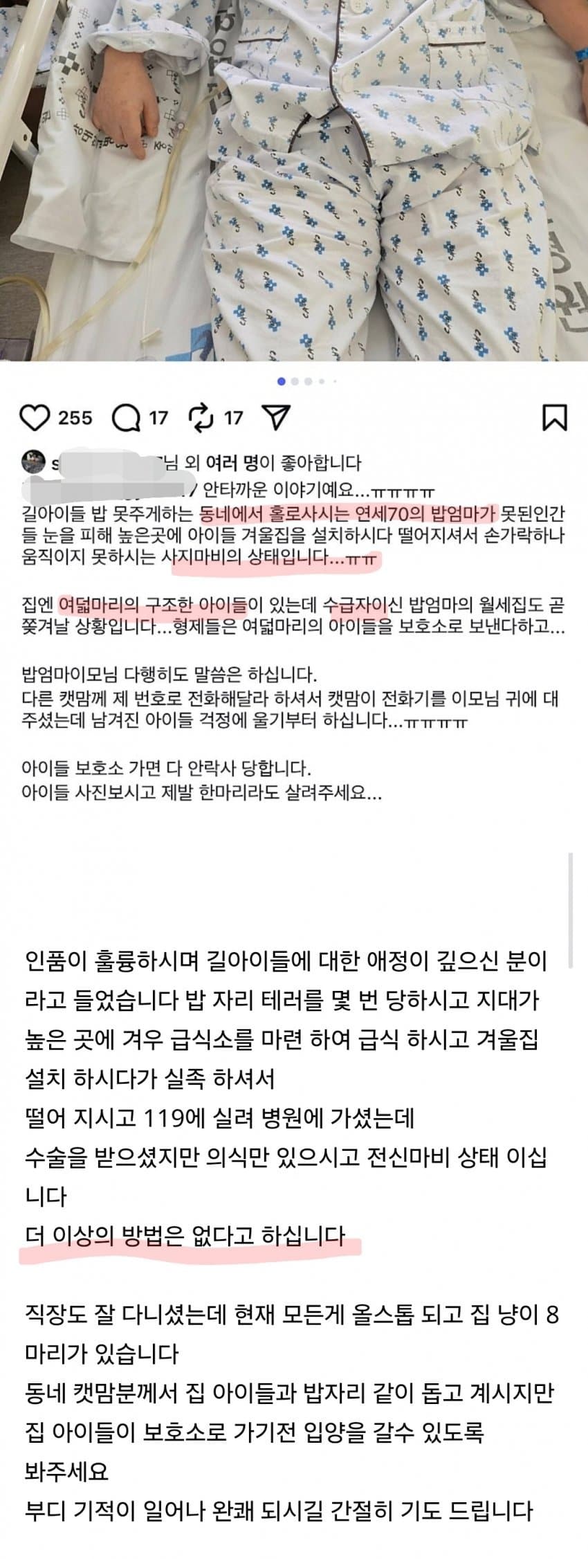 70대 캣맘이 높은곳에 고양이집 설치하다 떨어져 전신마비
