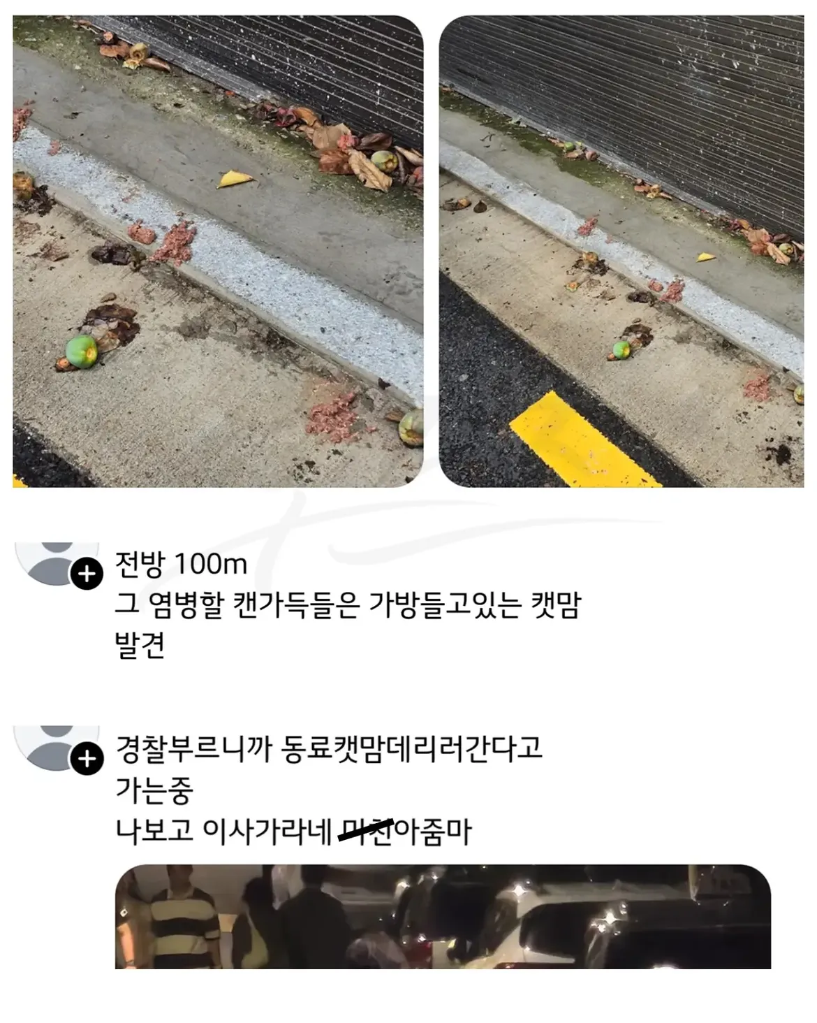싱글벙글 캣맘 처리법 (3)