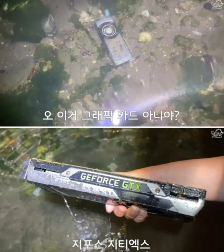귀한 자연산