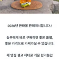 제주 산지직송 한라봉 중소과 10kg