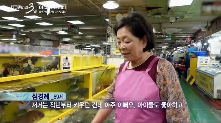 싱글벙글 다큐3일에 출연하는 반려 가오리