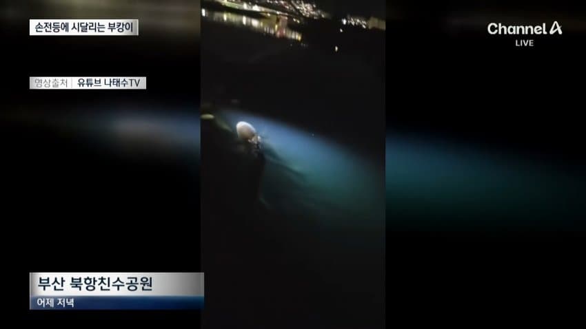 부캉이 보러... 결국 누적 100만명 돌파 (13)