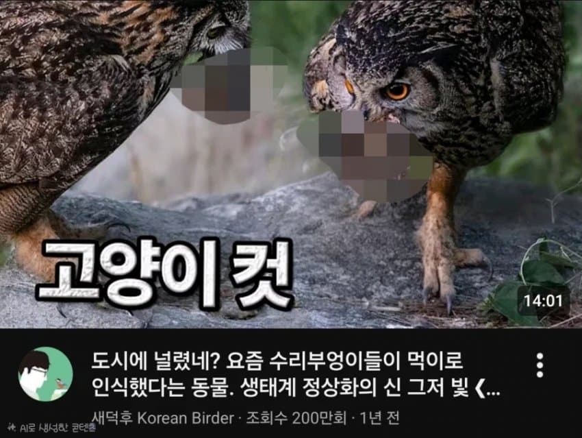 토론에서 지고 파묘된 새덕후 커뮤 반응 (2)