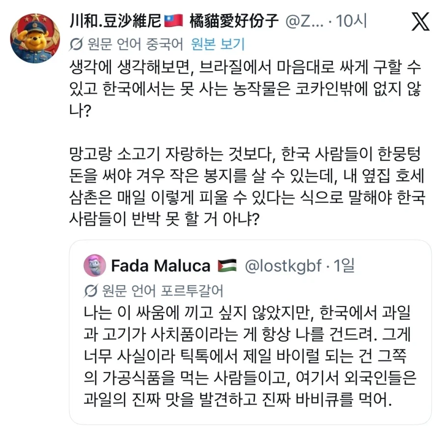 브라질 사람에게 한국인 상대 키배 이기는법 조언하는 대만인