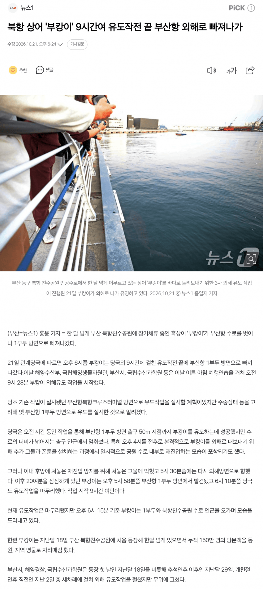 부캉부캉 부캉이 근황 (4)